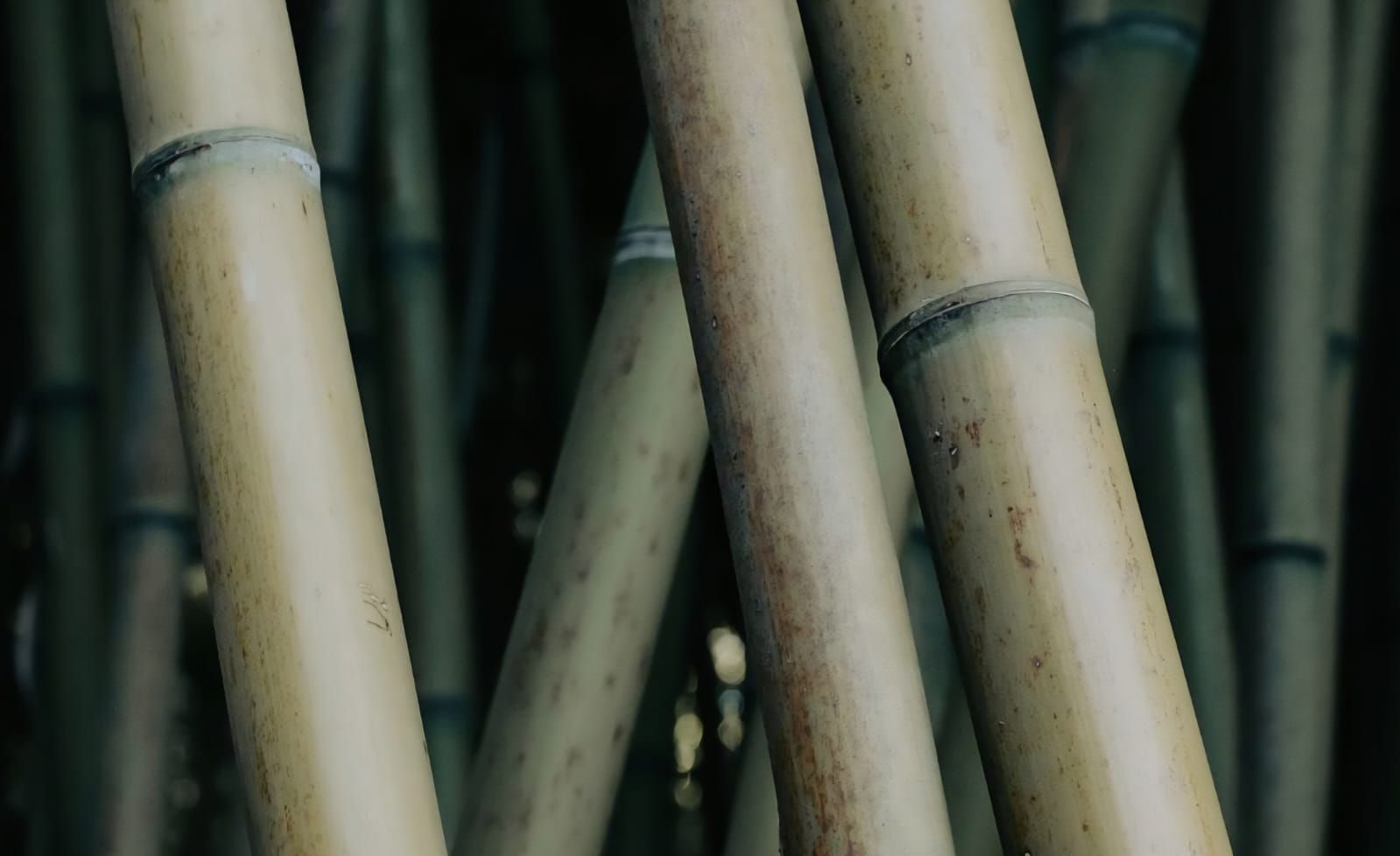 Top Floor Hair Studio Cookridge Hall